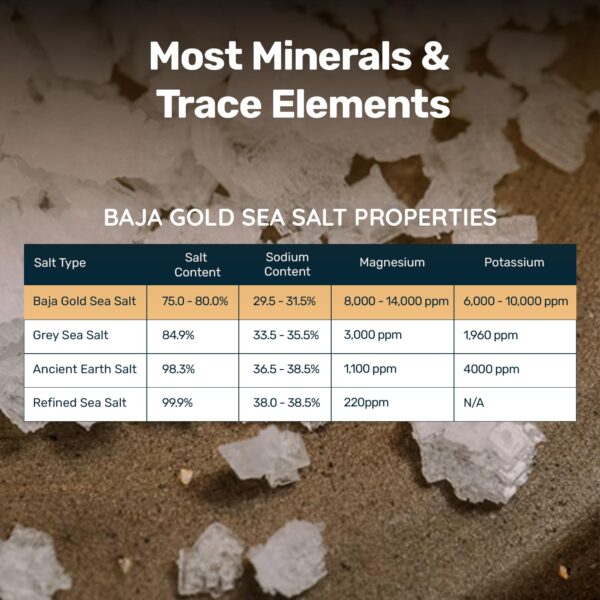 Baja Gold Mineral Sea Salt (1 lbs) - Image 4