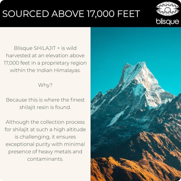Blisque – Pure Himalayan Organic Shilajit Resin - Image 8